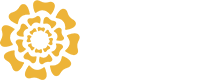 Marigold Dental Studio logo