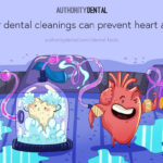 Graphic illustration that says, 'Regular dental cleanings can prevent heart attacks." Oral health and overall welness.